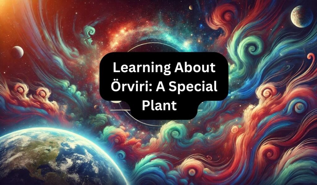 Learning About Örviri: A Special Plant