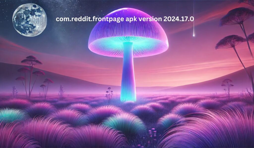 com.reddit.frontpage apk version 2024.17.0